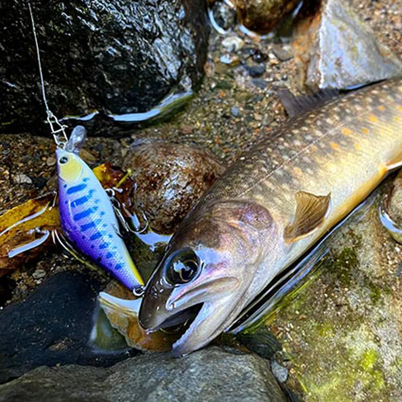 Luya Minnow, aparejo de pesca de lubina biónica de agua dulce sumergida, de fundición larga, buen ayudante de pesca - imagen 3