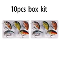 BOX026-C2