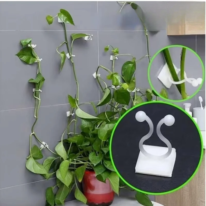 Soportes autoadhesivos para plantas trepadoras – Ganchos invisibles - imagen 3