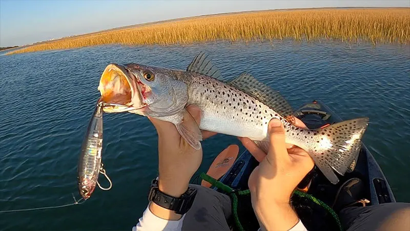 Topwater-señuelo de pesca de lápiz, 100mm, 17,5g, el mejor cebo de pesca de superficie, señuelo duro flotante, Wobblers, todo para pesca - imagen 5