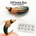 10Pcs-Box