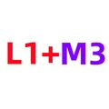 L1 M3
