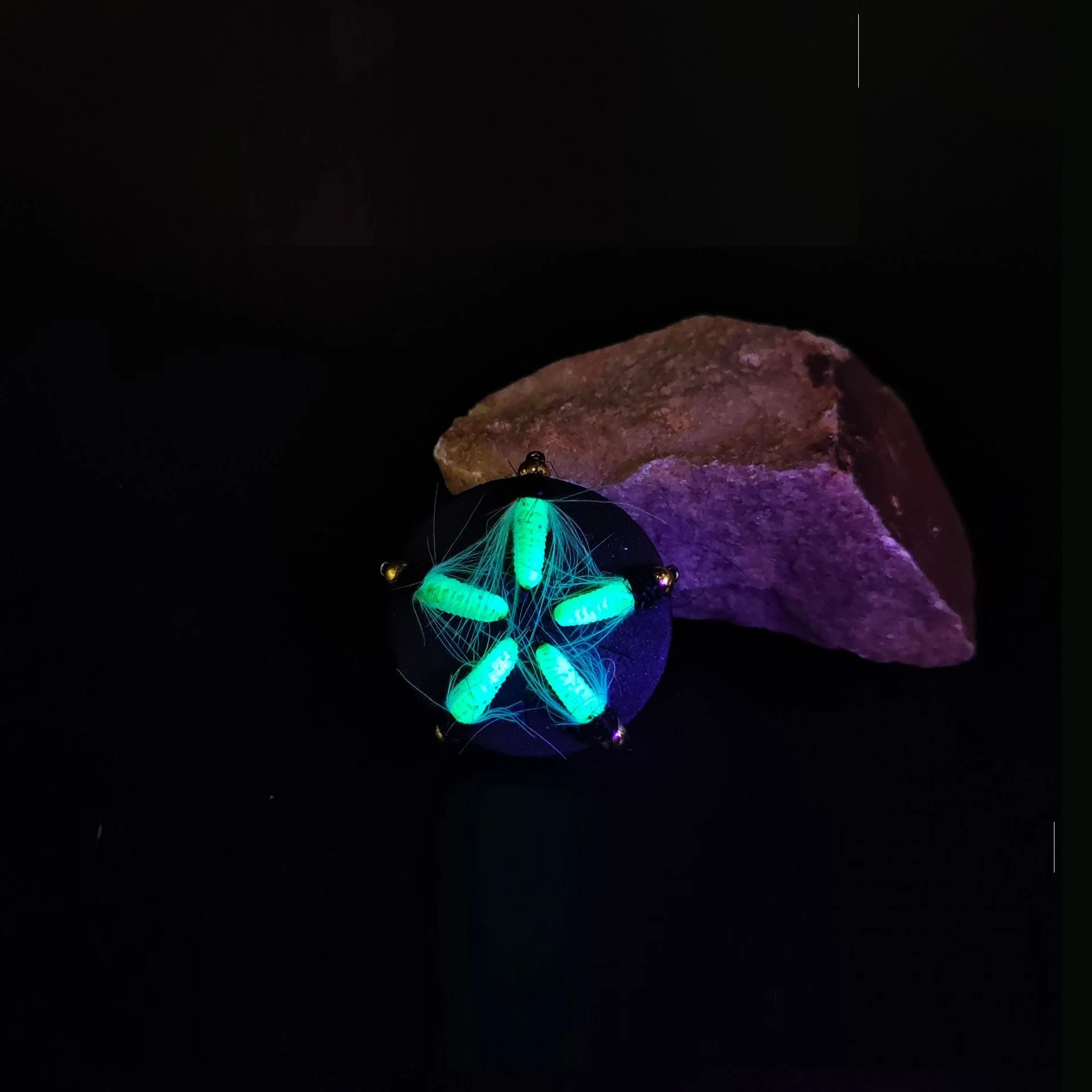 Señuelo luminoso de pesca con mosca, cabeza de cuentas de latón, trucha, lubina, hundimiento rápido, fibra CDC, serpentina de insectos, salmón #10 #12, 10 unids/lote por caja - imagen 4