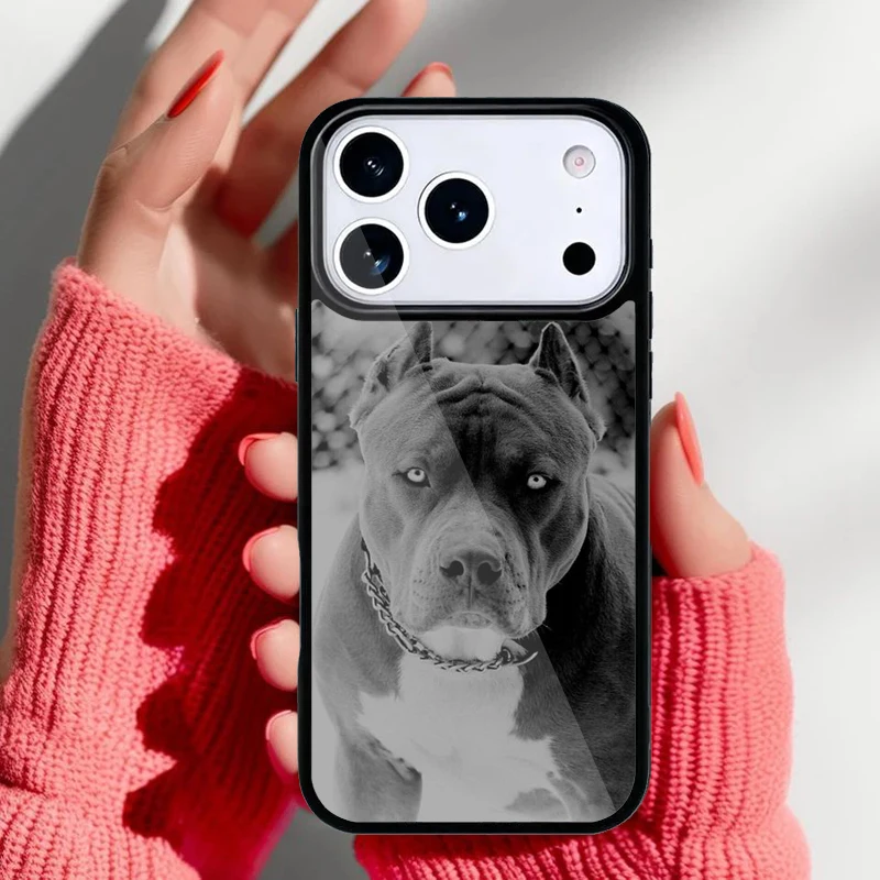 Funda iPhone con diseño de Pitbull adorable vista frontal