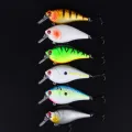 H205-6PCS