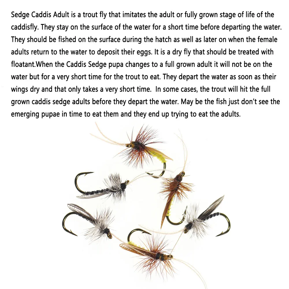 Experimente la emoción de la pesca con mosca con estas moscas para adultos Caddis Caddis realistas
