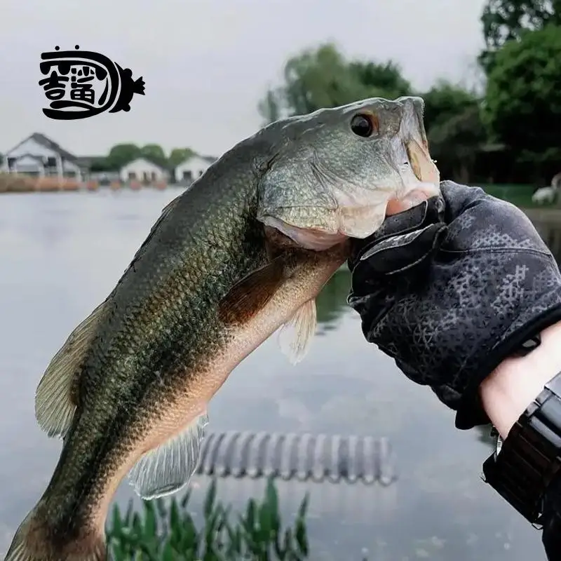 JiShark 2,2/3,0/4,0 pulgadas 8-12 unids/pack SENKO gusano señuelo suave tentación extrema Artificial RAGGLE trabajo señuelo de pesca - imagen 4