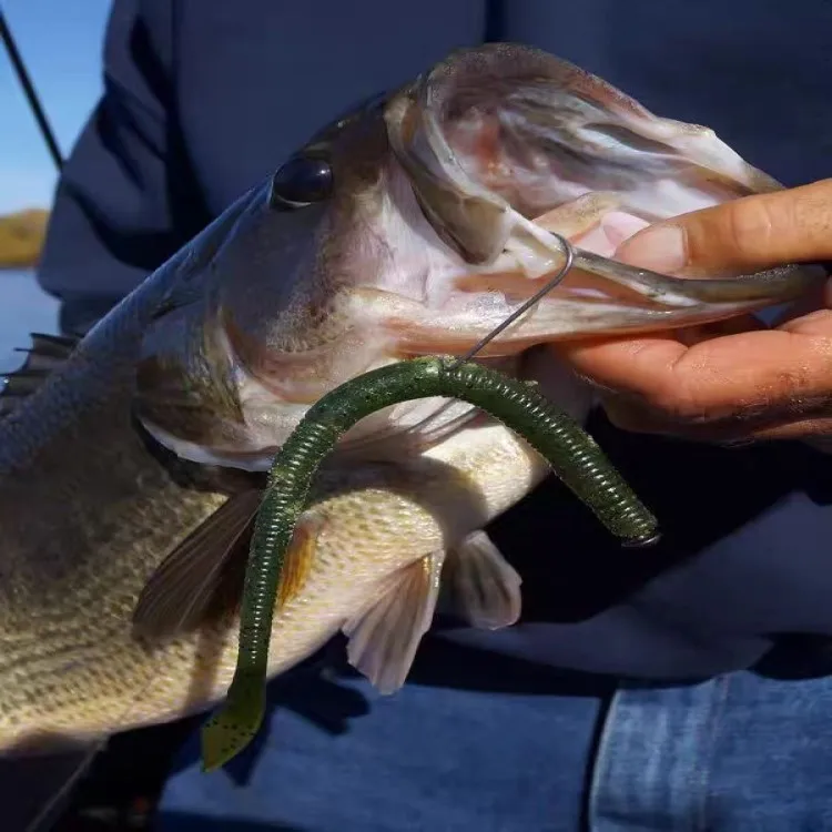 YAMAMOTO cuchillo cola fideos gusano 4 pulgadas Kut cola gusano sin plomo NEKO enchufe plomo Texas señuelo cebo suave - imagen 3