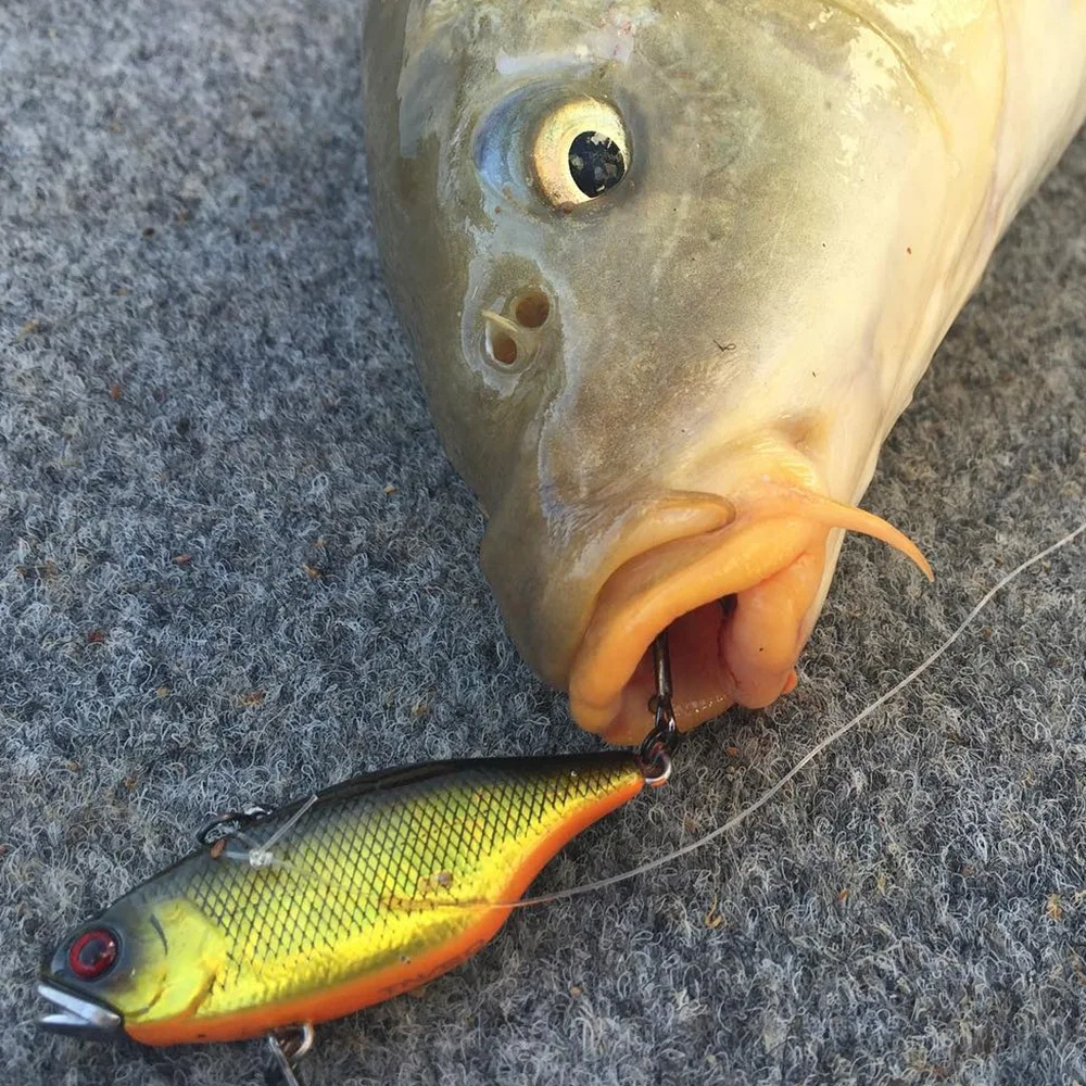 Señuelo vibratorio para pesca en hielo, cebo vibrador de hundimiento de plástico, 6cm/12g, Crankbait Artificial, nuevo - imagen 2