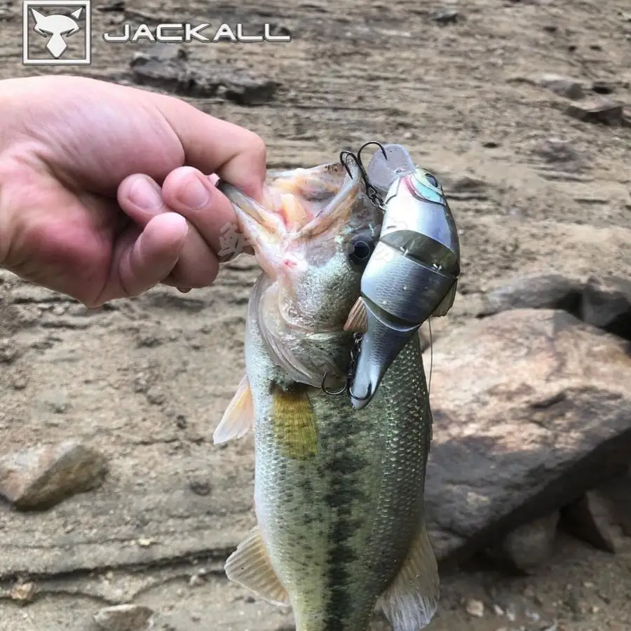 Jackall japonés Mikey Swing 72 nuevo pequeño perca flotante con nudos - imagen 4