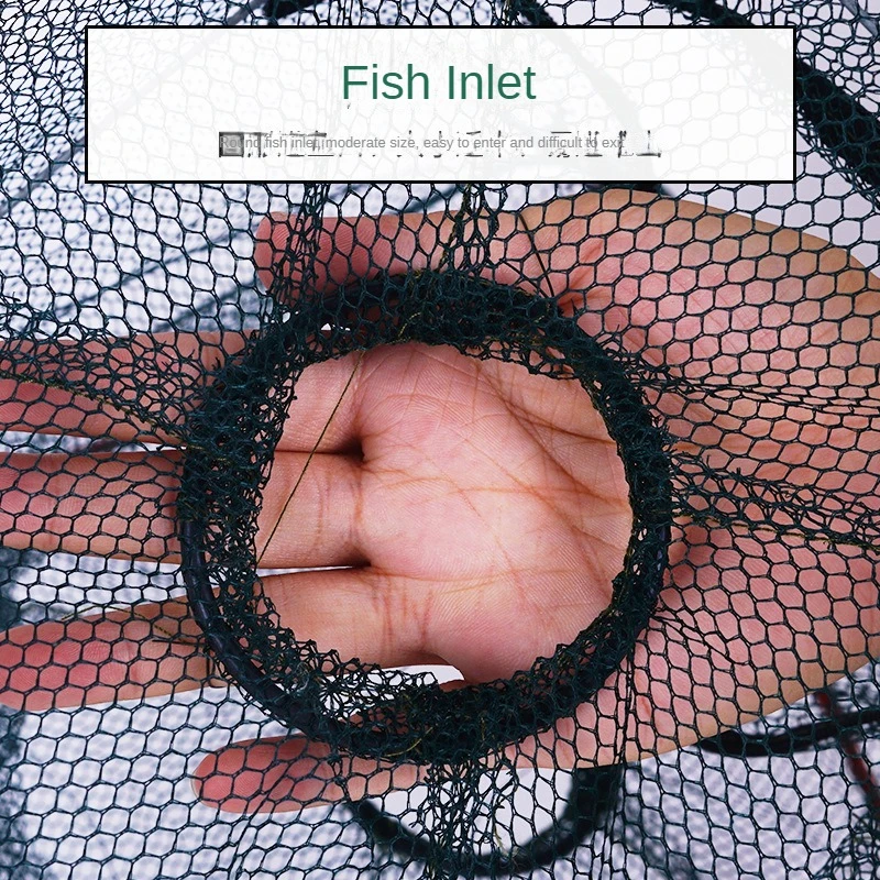 Red de langosta plegable de dos agujeros, red de pesca con resorte, suministros de pesca - imagen 4