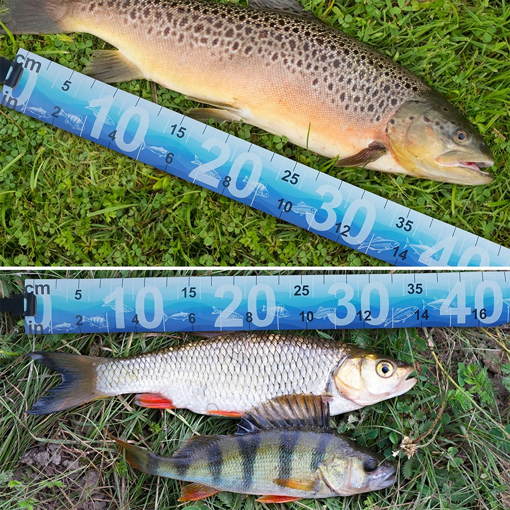 Regla medidora de peces impermeable, cinta métrica plegable para pesca, pegatina, accesorios de pesca, aparejos para agua dulce y salada, 1 Uds. - imagen 5