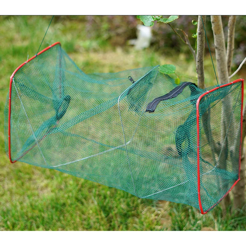 Jooyoo atrapa más peces con esta red trampa para peces plegable: perfecta para cangrejo, gambas, cangrejos, langosta y Crawdad - imagen 4