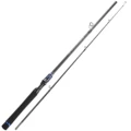 Spinning Rod