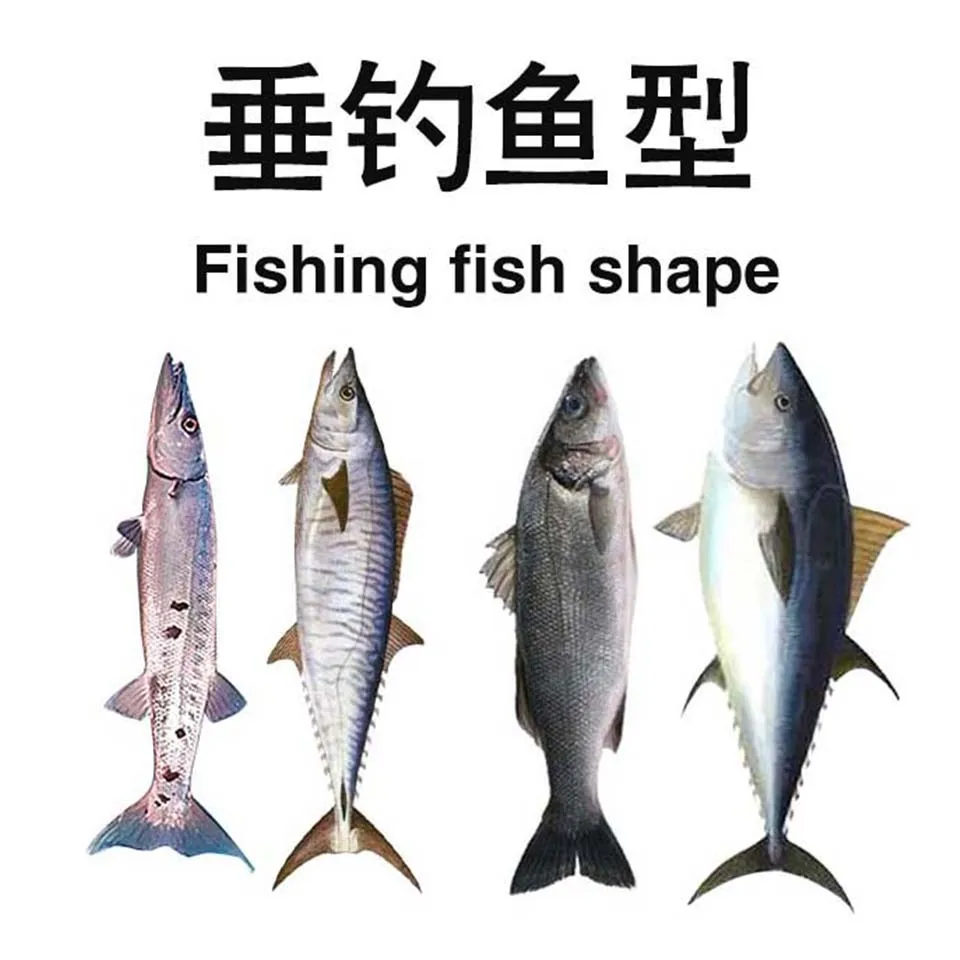 Señuelo de cebo duro que se hunde para pesca con mosca