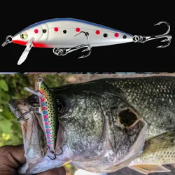 Jerkbait hundimiento 9,5g negro – Señuelo artificial lubina y trucha