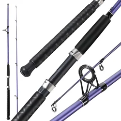 Caña spinning Sougayilang para pesca de carpa