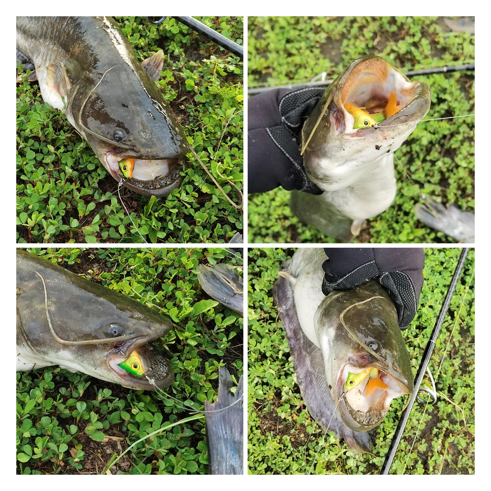 Spinpoler Swim Jerk cebo articulado 3 segmentado suave Swimbait señuelo de pesca 8cm 9cm 13cm Artificial Drop Shot Jig Bass perca aparejos - imagen 5