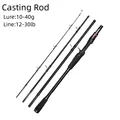 Casting Rod