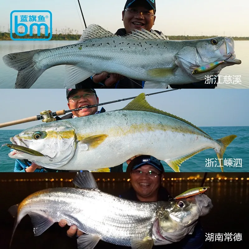 Señuelos de pesca con lápiz de roca, PRODUCTO DE MARLIN AZUL, intermitente, nuevo COLOR, HYPER LONG CASTING PERFECTLY ROLLING DINK - imagen 4