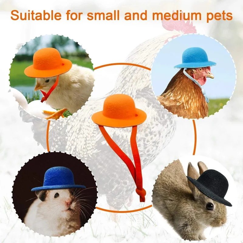 Sombrero de pollo para gallinas, mascotas pequeñas, accesorios divertidos para pollo, sombrero de copa para gallina, gallo, pato, loro, hámster, aves de corral, disfraz de espectáculo elegante - imagen 3
