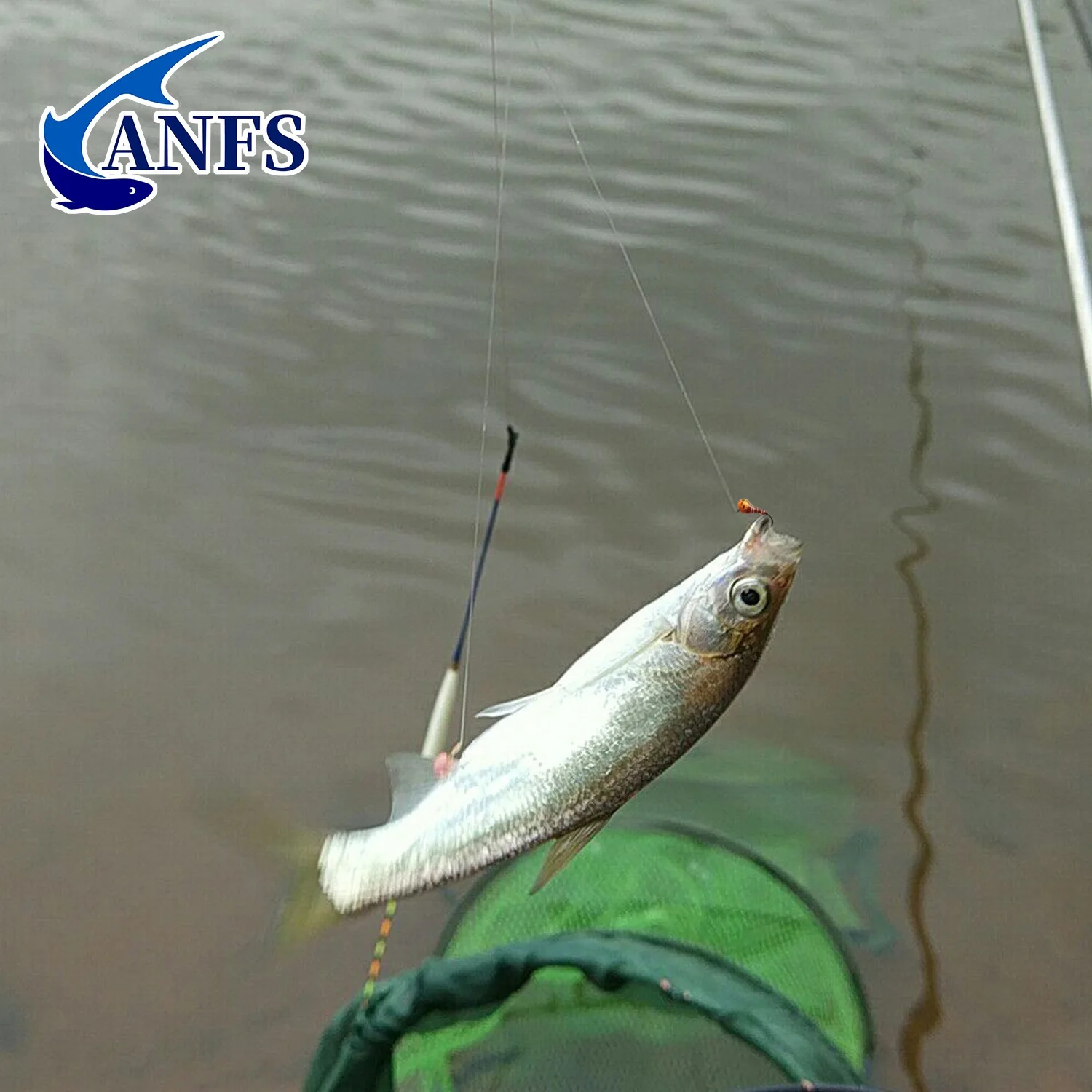 ANFS 10 unids/caja cabeza de cuentas de tungsteno mosca húmeda-cabeza de cuentas de tungsteno compensada sin púas señuelos de mosca de ninfa húmeda para trucha, grailismo, perca - imagen 5