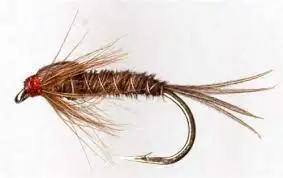 Pheasant tail