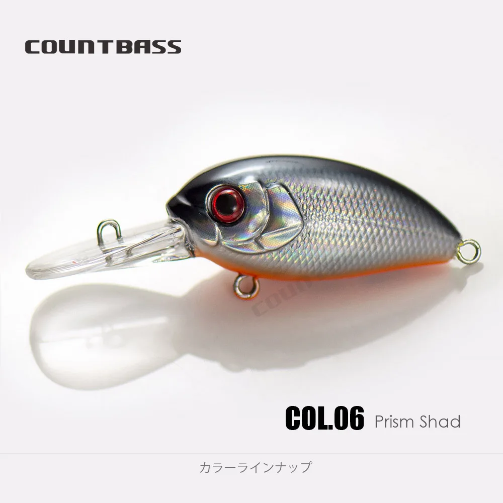 06
