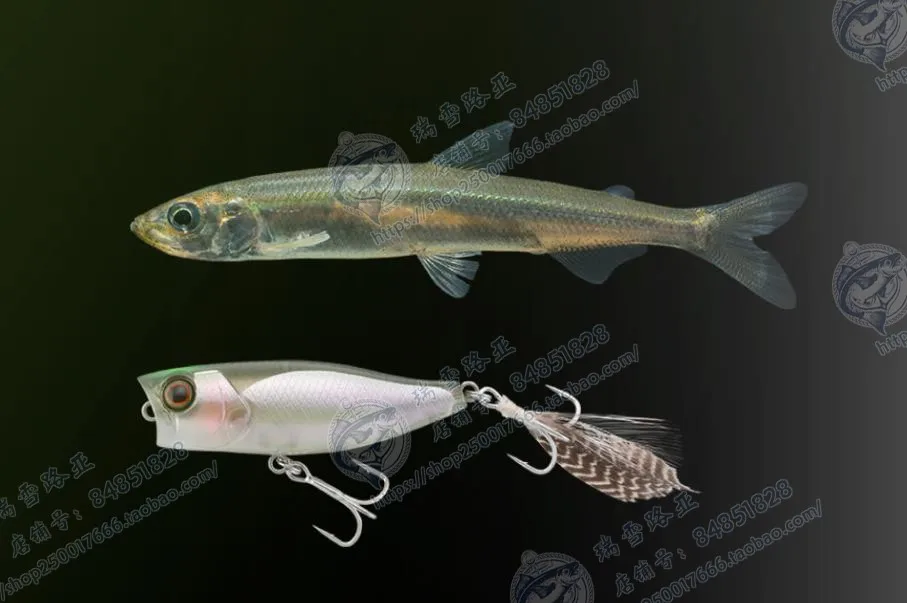 JACKALL Japón CHUBBY POPPER 42 Wave Climbing 3,3g Micro Object Wavelet tumbado en la corriente, Boca de caballo - imagen 3