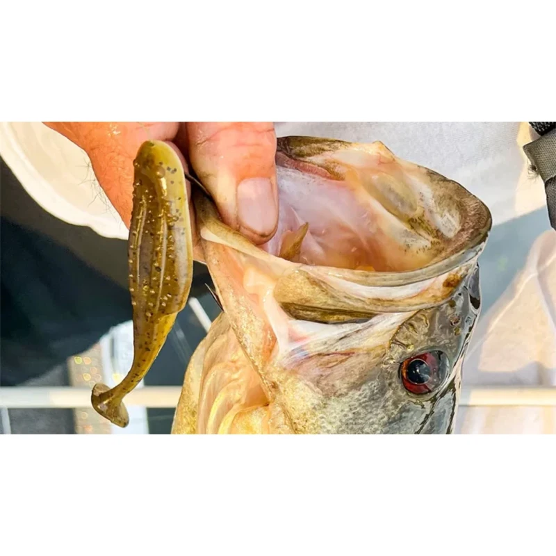 Zoom USA importado Mag Uni Toad 4 pulgadas cola en T rana pez señuelo suave objetivo de Texas - imagen 5