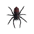 Spider-3G-01