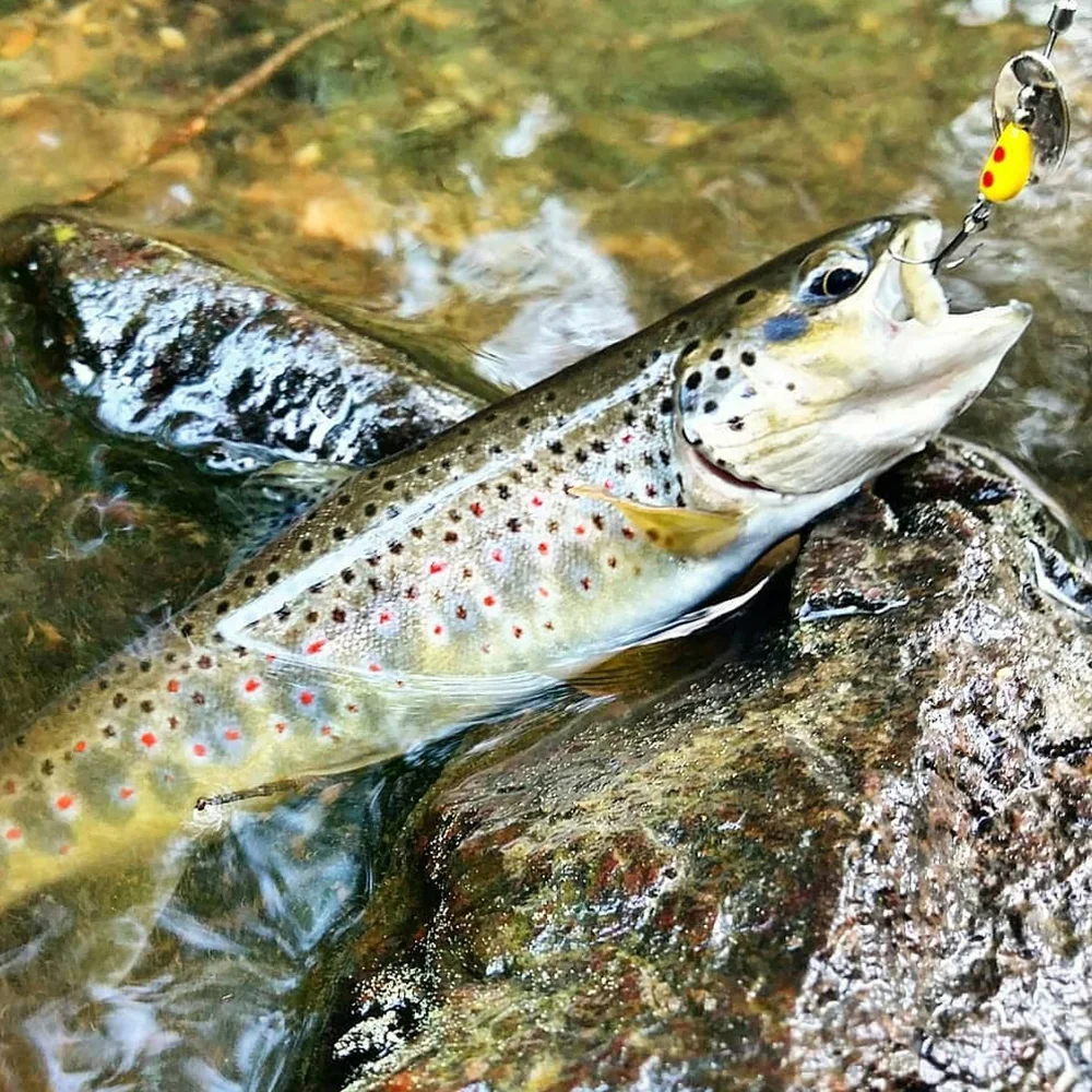 Señuelo giratorio de piezas para Pesca, cebos giratorios de 5g y 7g, con lentejuelas, Wobblers de invierno para lubina, Salmon Stream, aparejos de Pesca, 1 unidad - imagen 4