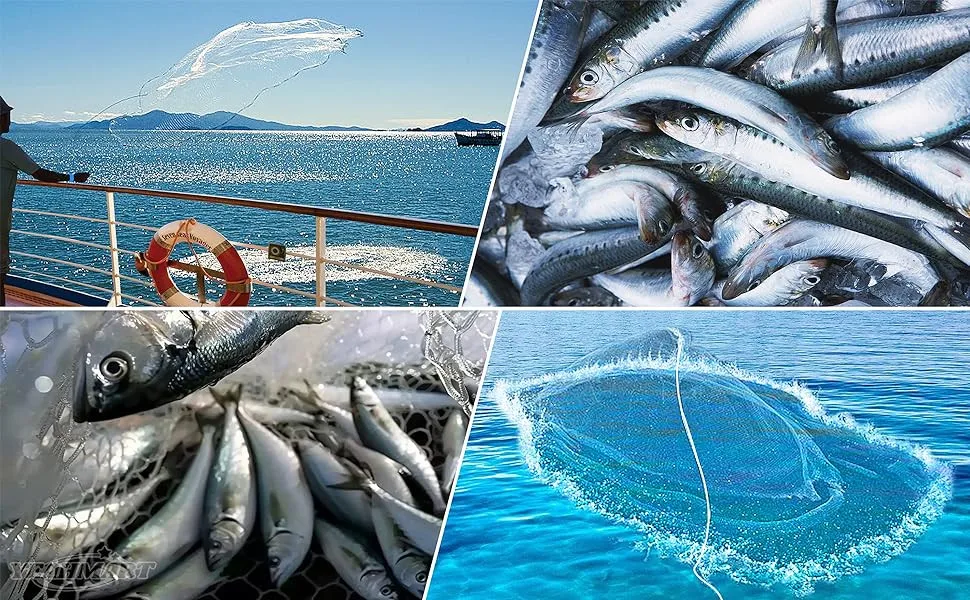 Una imagen de peces en una red y peces en el océano