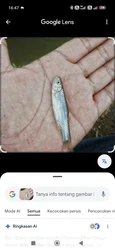 Imagen de reseña 4