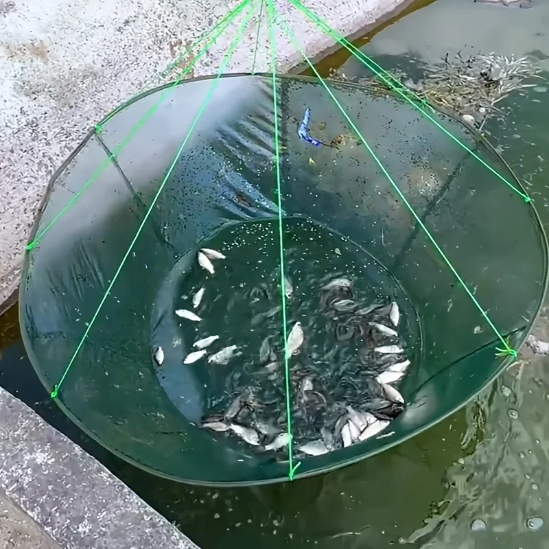 Red plegable de boca ancha para pesca y trampas - imagen 5