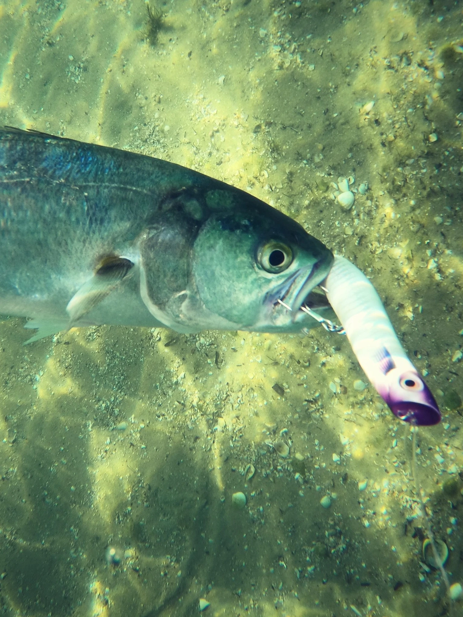 MXRWR-Cebo subduro para pesca en el mar, cebo falso de 13cm, 29G, 10cm, 14 Kebo, escalada en carretera - imagen 4