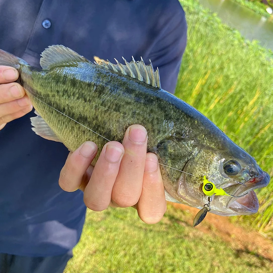 FishTrip-Juego de cabeza de plantilla de 5 piezas, gancho de lubina de agua salada, gancho de plástico suave para presentación de agua de profundidad media - imagen 4