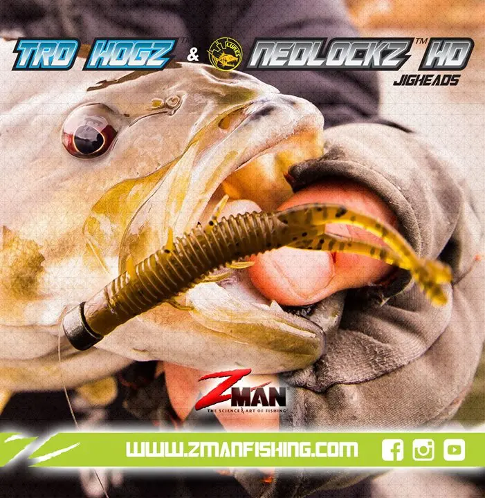 ZMAN Ned grupo de pesca 3 pulgadas Ned camarones flotante señuelo de agua cebo suave gancho de cabeza de plomo especial cebo falso punto multicolor - imagen 4