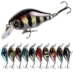 Crankbait Flotante de Plástico Duro para la Pesca de Carpa
