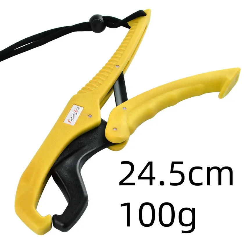 Yellow 24cm