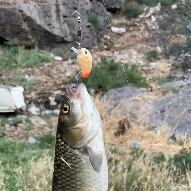 Kit de Mini Crankbait Artificial, cebo duro para lubina, trucha, aparejos de pesca, 5 piezas, 2,8 cm, 2g - imagen 3