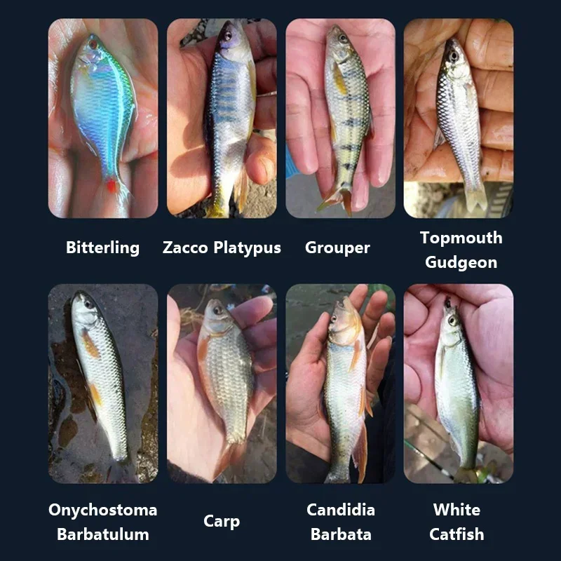 Mini flotador de pesca giratorio, flotador de peces de alta sensibilidad, flotadores de corriente de microobjetos de agua poco profunda para pesca de carpa cruciana - imagen 4