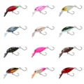 H07--12 Colors