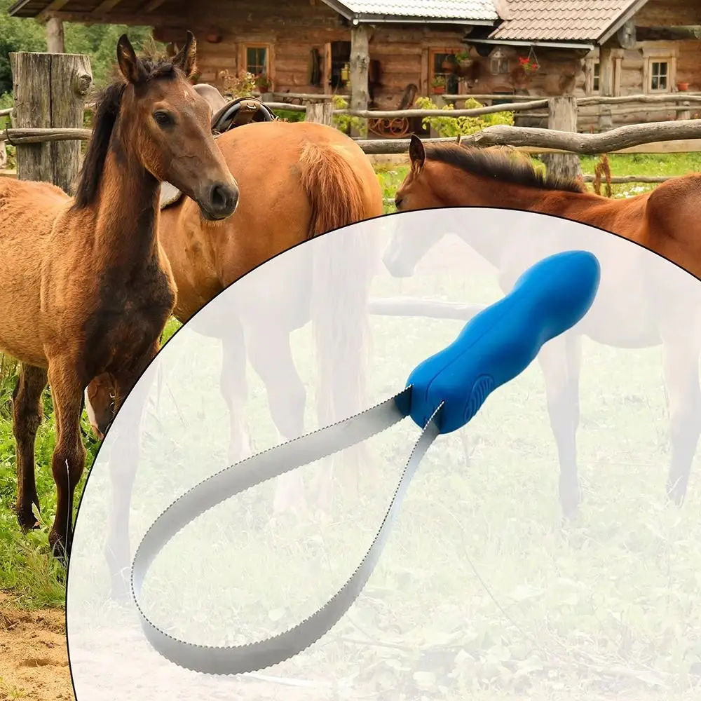 Cepillo de aseo doble cara para caballos – Antideslizante metálico - imagen 5