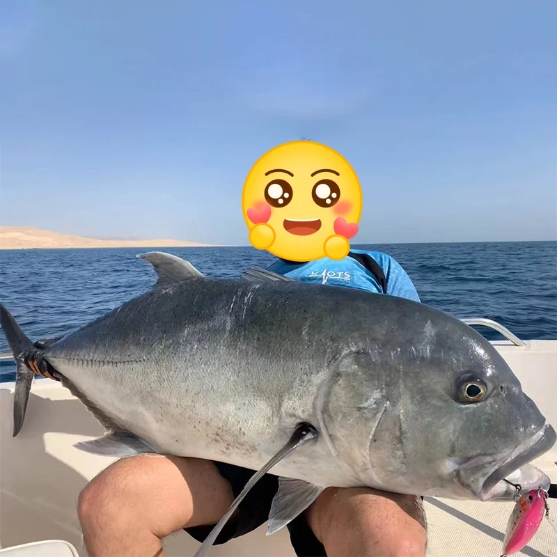 OBSESSION WD108 70g18cm Popper Trolling de madera gran juego superficie de superficie de superficie Popping lápiz cebo de pesca de carpa de agua salada de aguas profundas - imagen 4