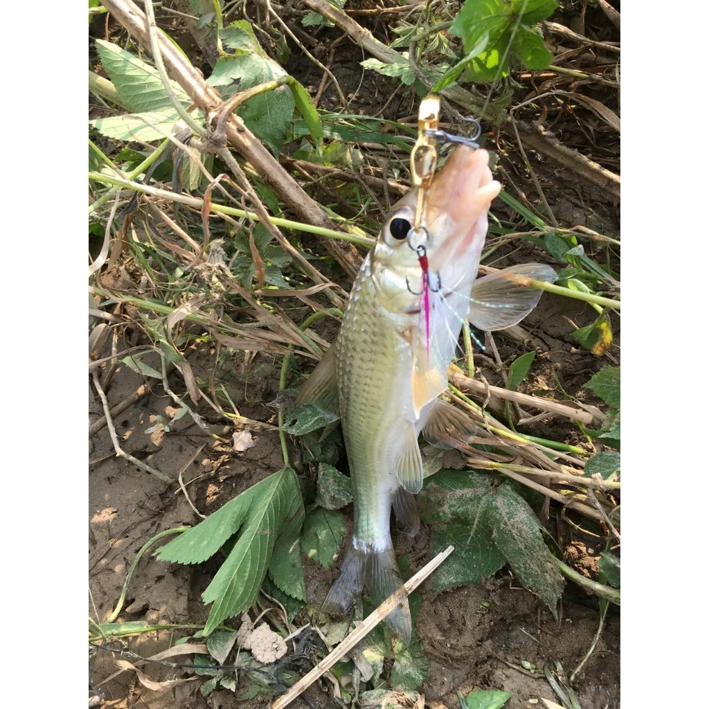 Goture-señuelo de Pesca con cuchara giratoria VIB de Metal para invierno, plantillas de 7g, 10g, 12g, cebo Artificial con vibración, trucha, lubina, aparejos de Pesca, 1 Uds. - imagen 5