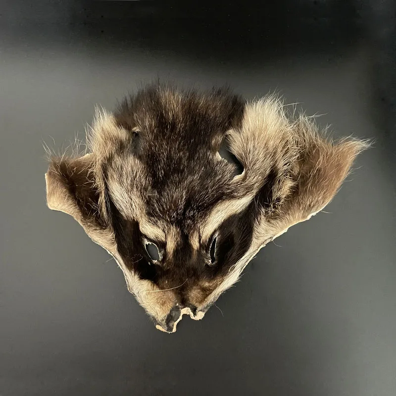 1 unidad de atado de moscas, máscara de mapache, serpentinas, señuelos de ninfas, atado de moscas de piel con pelo largo semihuoco, Bonefish Crazy Charlie moscas - imagen 4