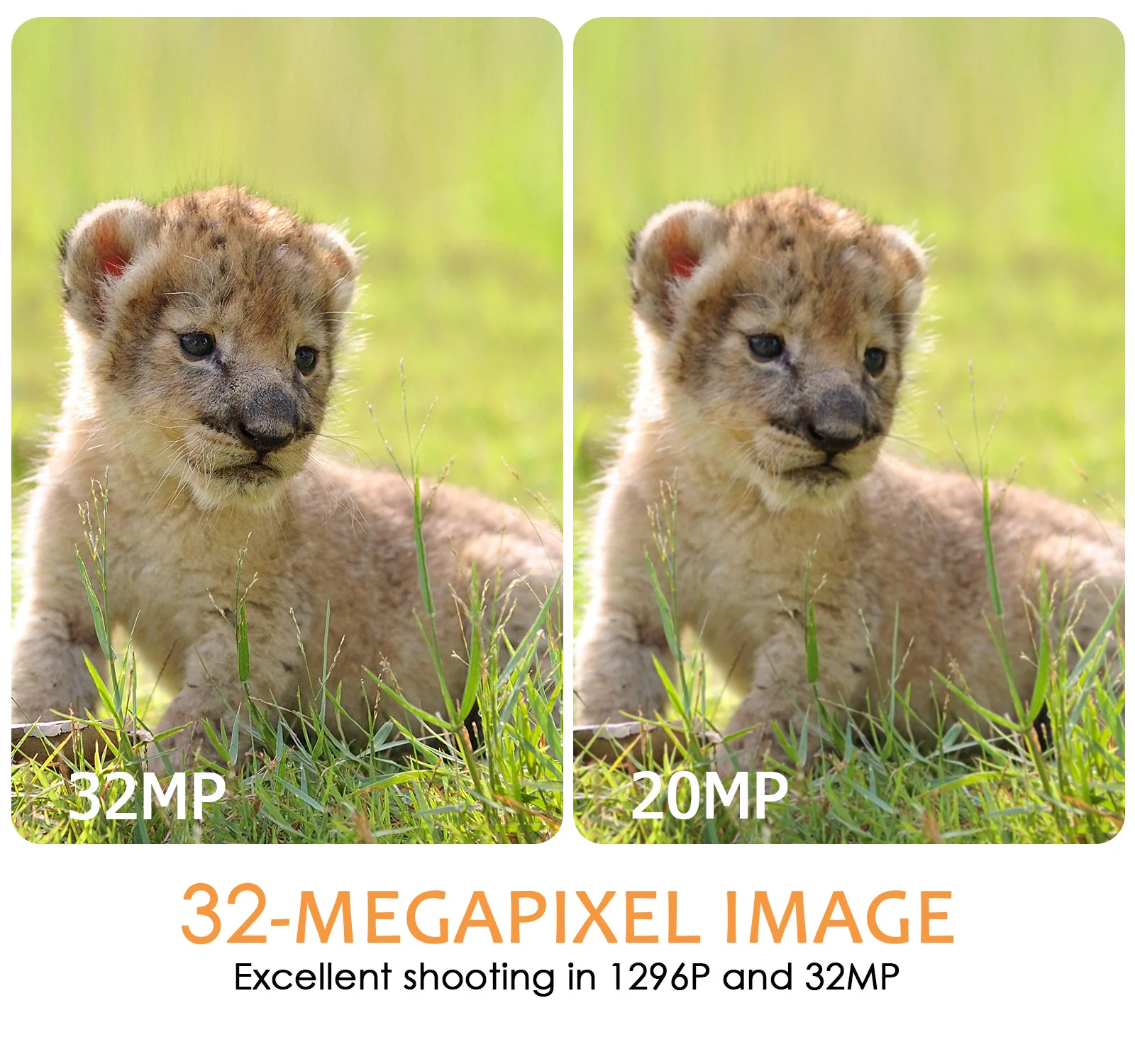 Cámara de rastreo 4K con WIFI y detección IR 30 m – Videro impermeable - imagen 3