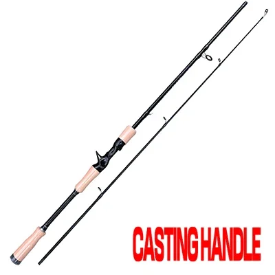 Casting Rod