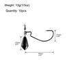 10pcs 10g